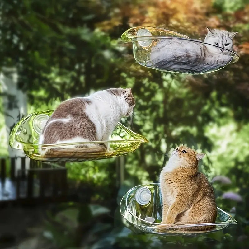 Fenêtre Bol Chats