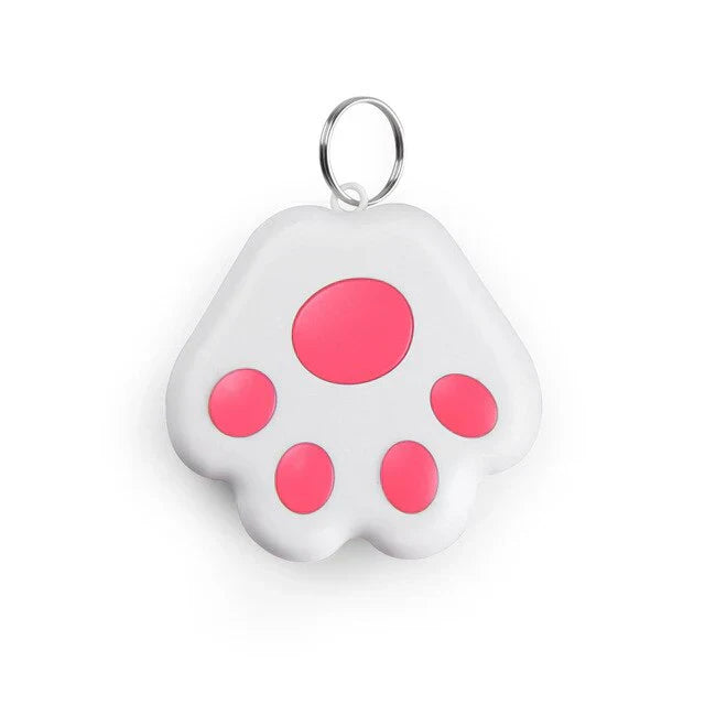 Suivi Gps Pour Animaux