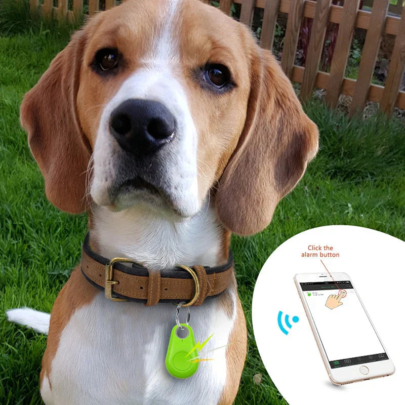 Suivi Gps Pour Animaux