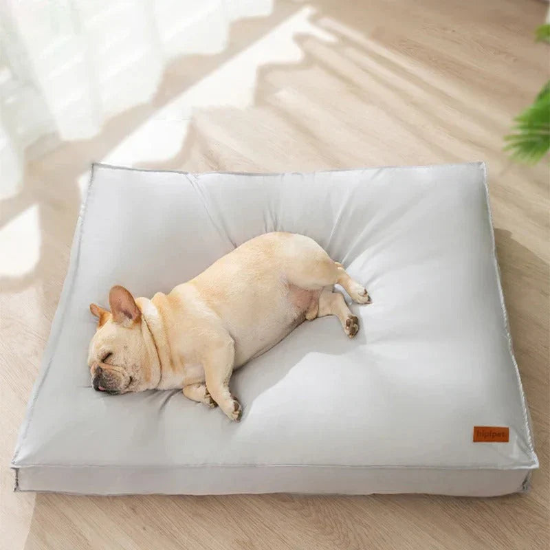 Lit Pour Chien Ergonomique Et Imperméable