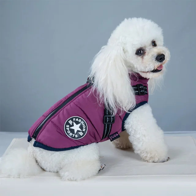 Veste pour Chien Coupe-vent et Imperméable avec Harnais Intégré Animaux Plus