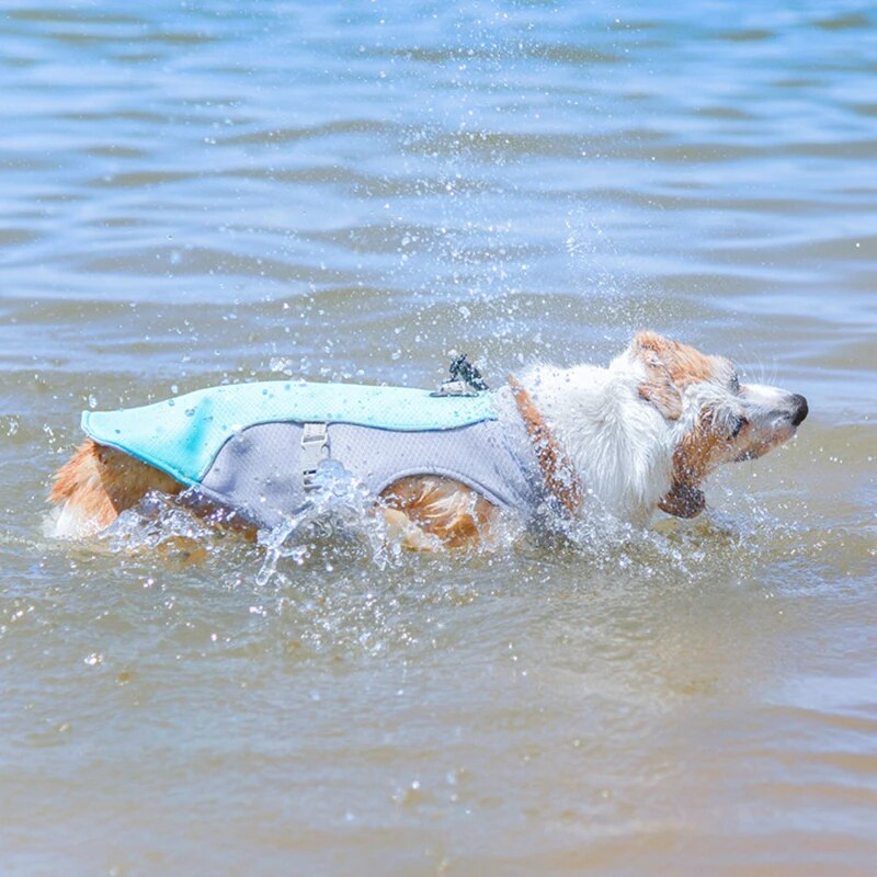 Harnais pour Chien Animaux Plus