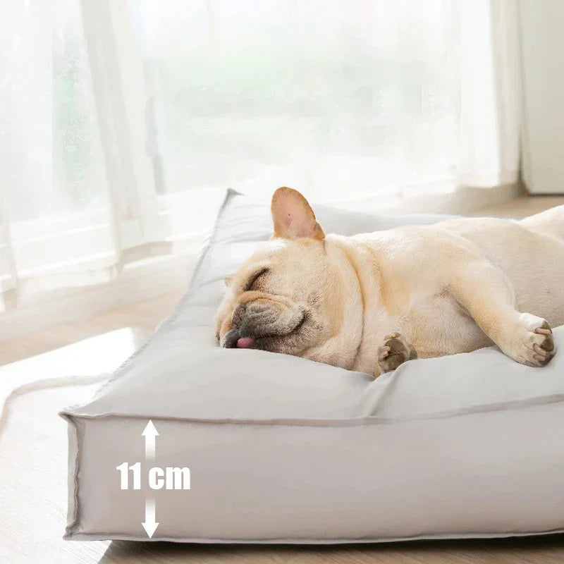 Lit Pour Chien Ergonomique Et Imperméable