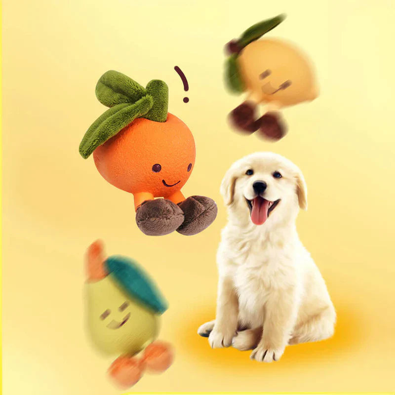 Jouet Fruité Pour Chien Avec Sifflet