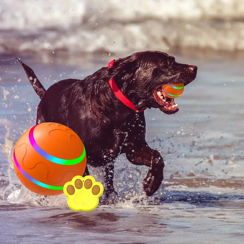 Balle Roulante Active Pour Animaux Domestiques