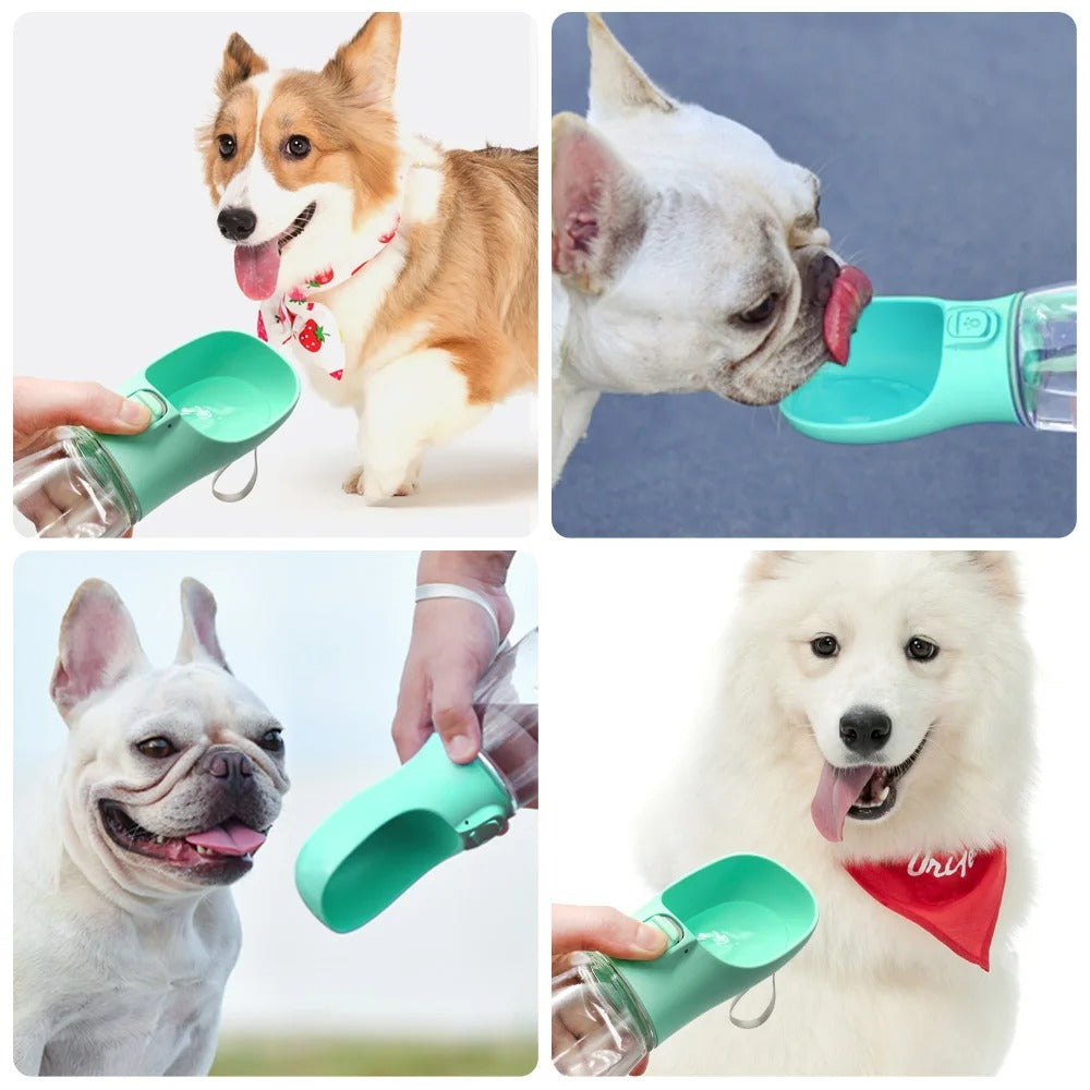 Gourde pour chien écologique légère