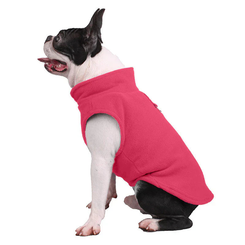 Veste Pour Chien Toute L'année