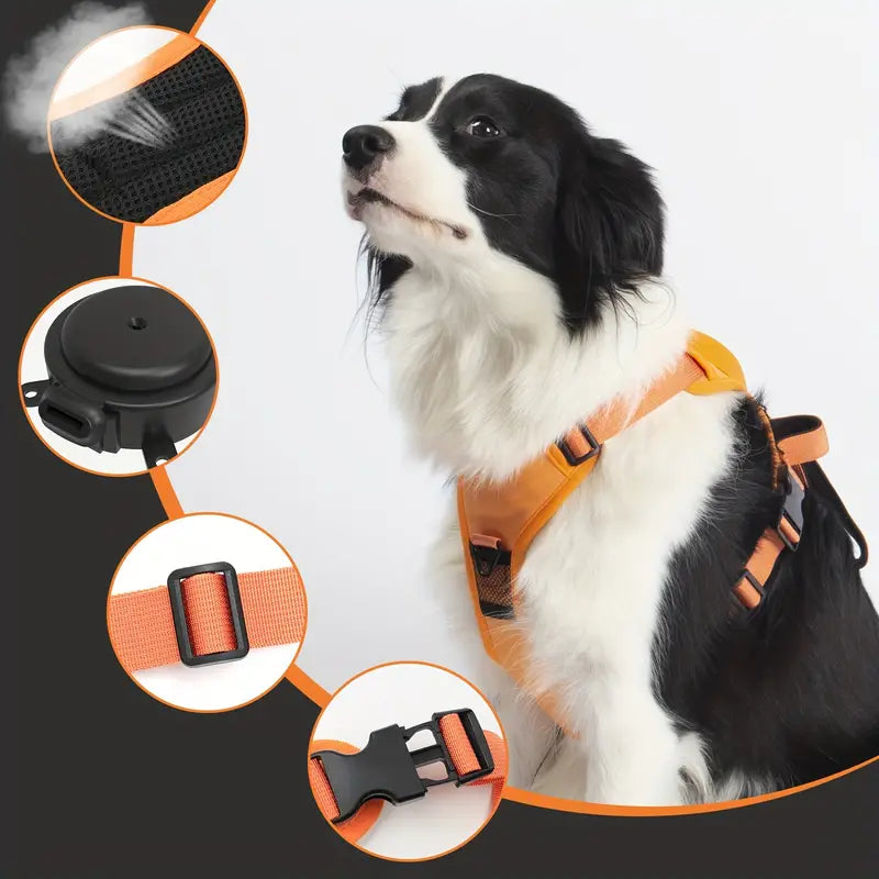 Harnais Et Laisse Anti-traction 2 En 1 Confortable Pour Chien