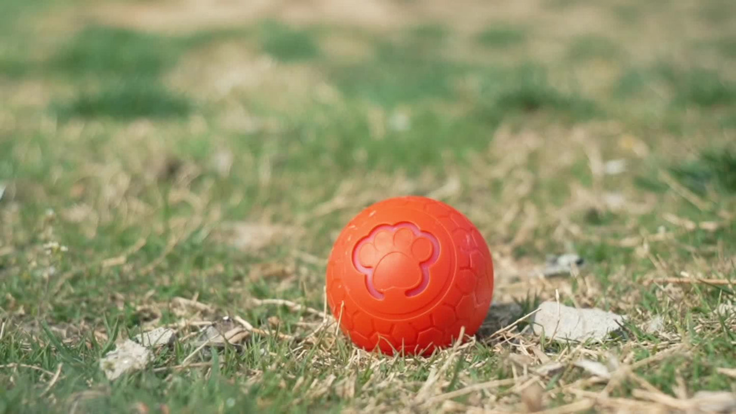 Balle interactive pour animaux de compagnie