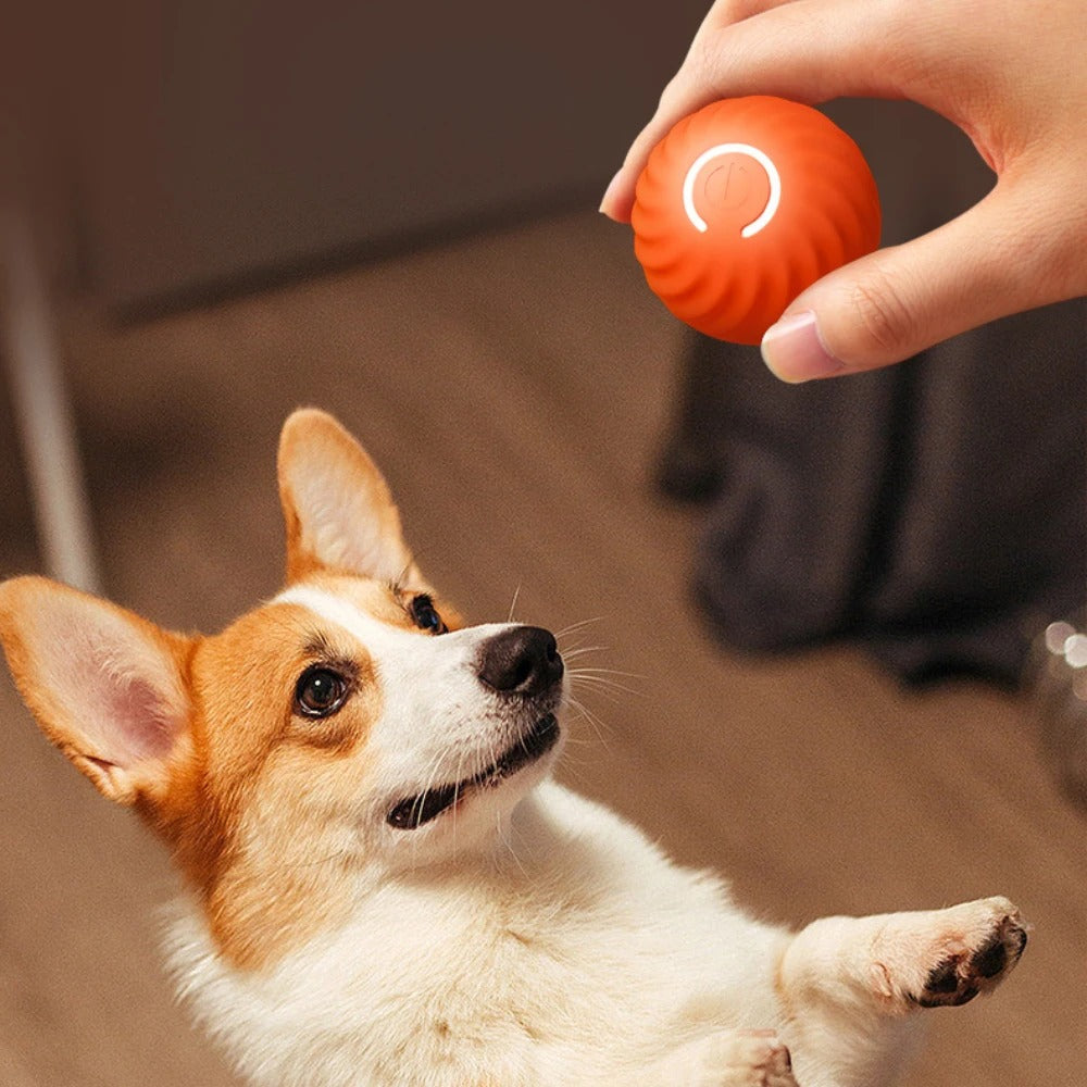 Balle interactive pour chien intelligente