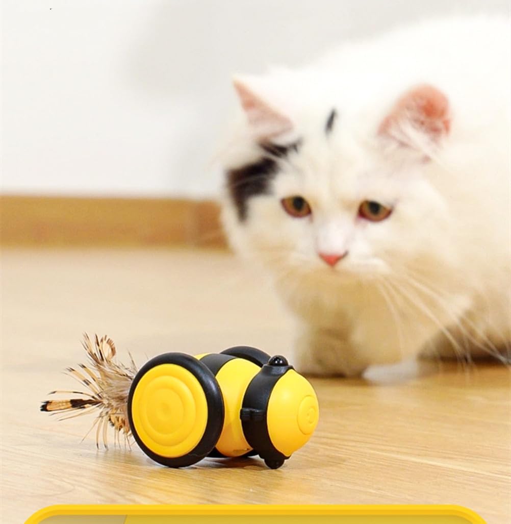 Jouet Pour Chat Télécommandé