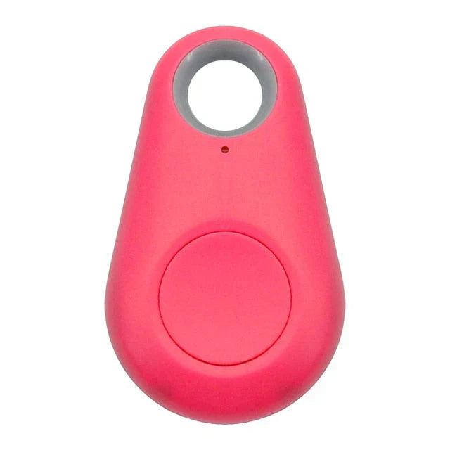 Suivi Gps Pour Animaux
