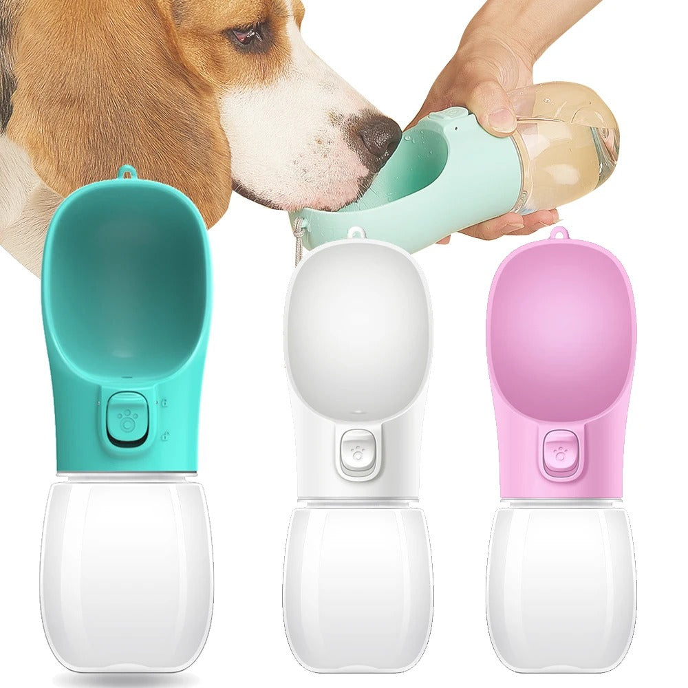 Gourde pour chien écologique légère