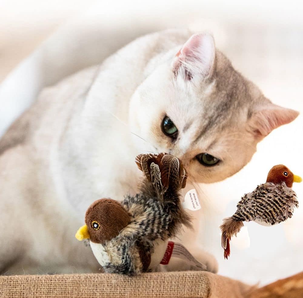 Jouets Oiseaux Gazouillants Pour Chats