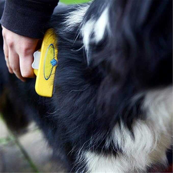 Peigne Anti-puces Et Lentes Pour Chiens Et Chats