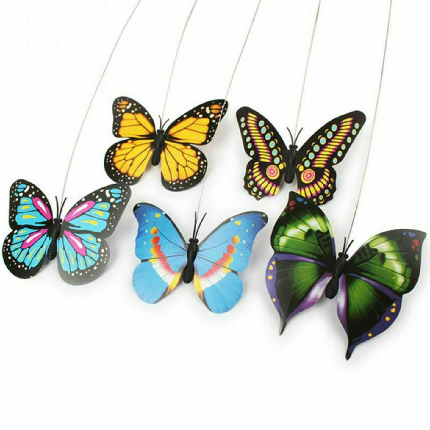 Jouet Papillon Pour Chats