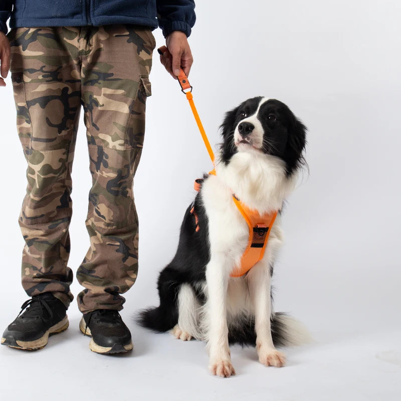 Harnais Et Laisse Anti-traction 2 En 1 Confortable Pour Chien