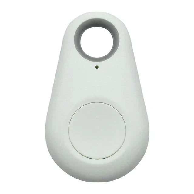 Suivi Gps Pour Animaux