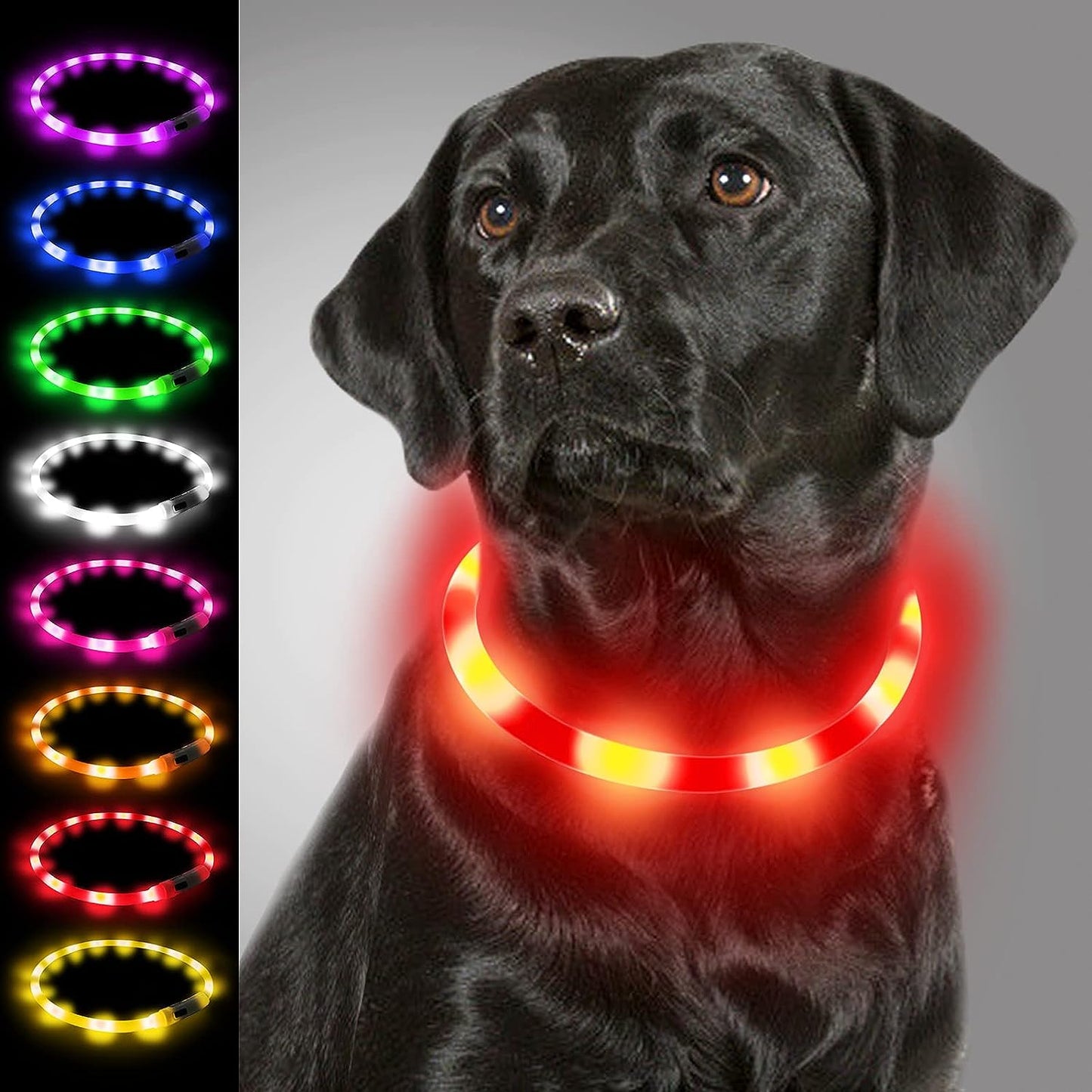 Collier Lumineux à LED pour Chiens
