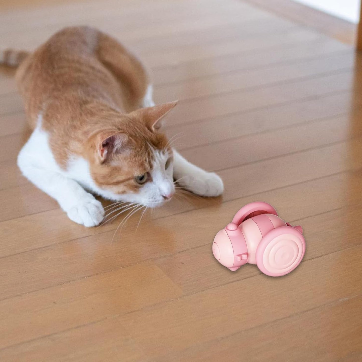 Jouet Pour Chat Télécommandé