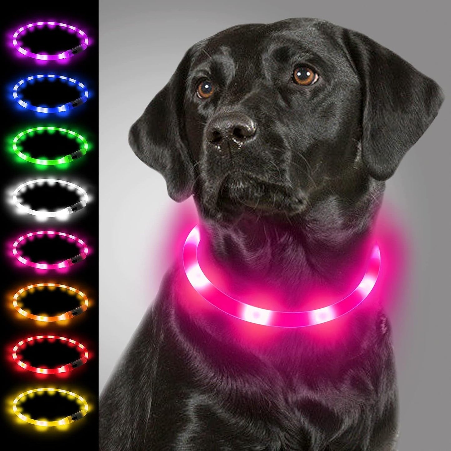 Collier Lumineux à LED pour Chiens