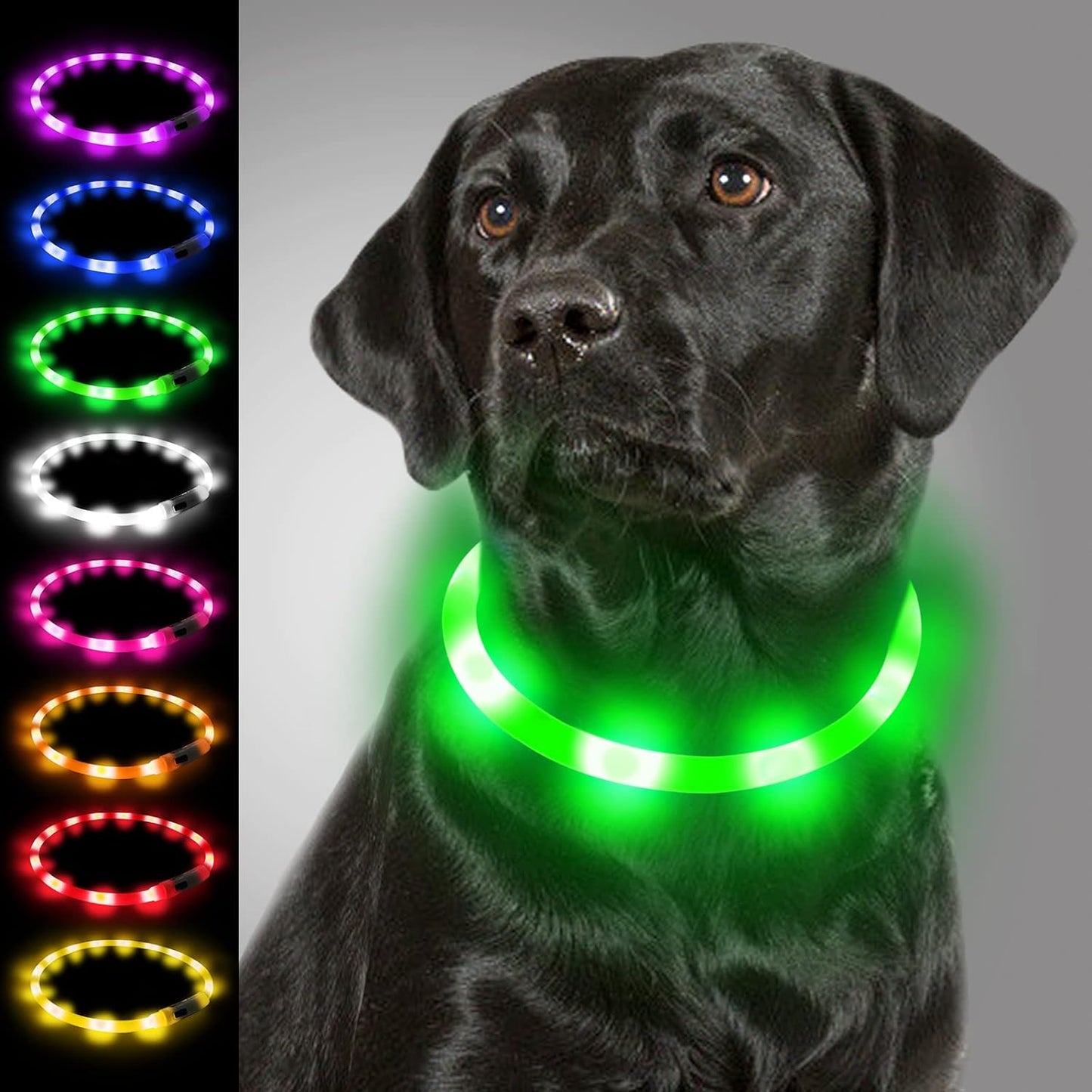 Collier Lumineux à LED pour Chiens