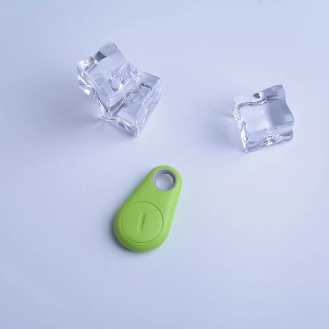 Suivi Gps Pour Animaux