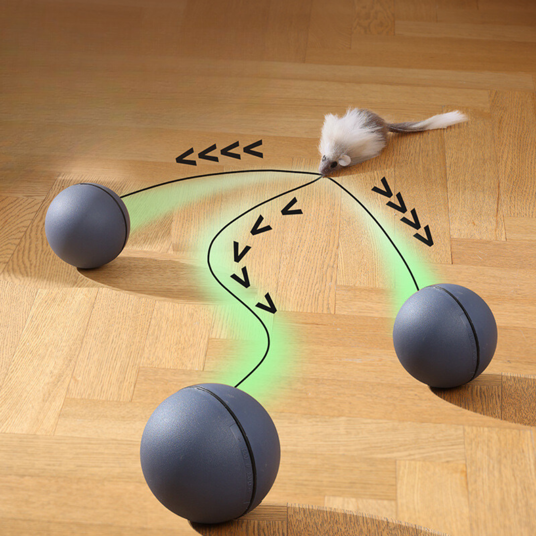 Jouet Turboball Avec Queue Pour Chats
