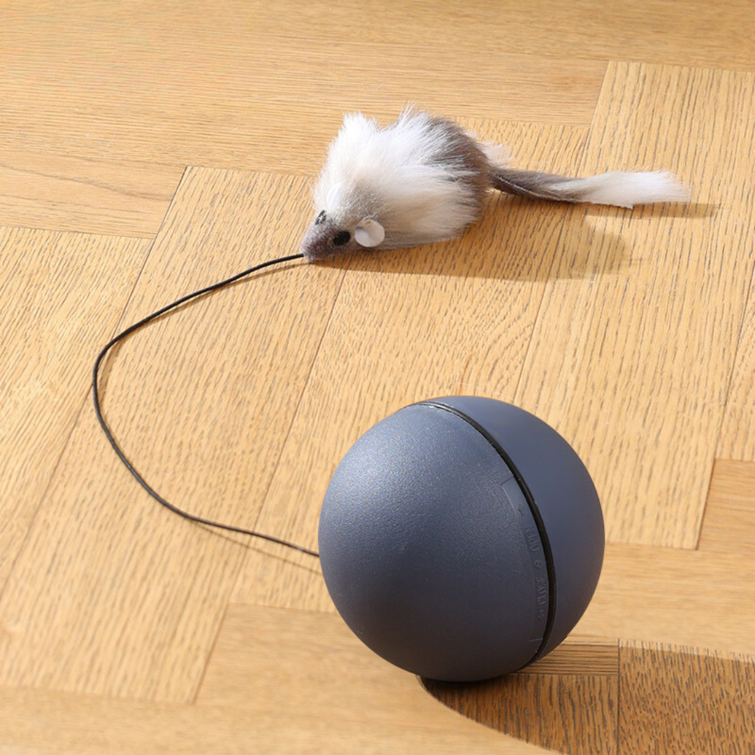 Jouet Turboball Avec Queue Pour Chats
