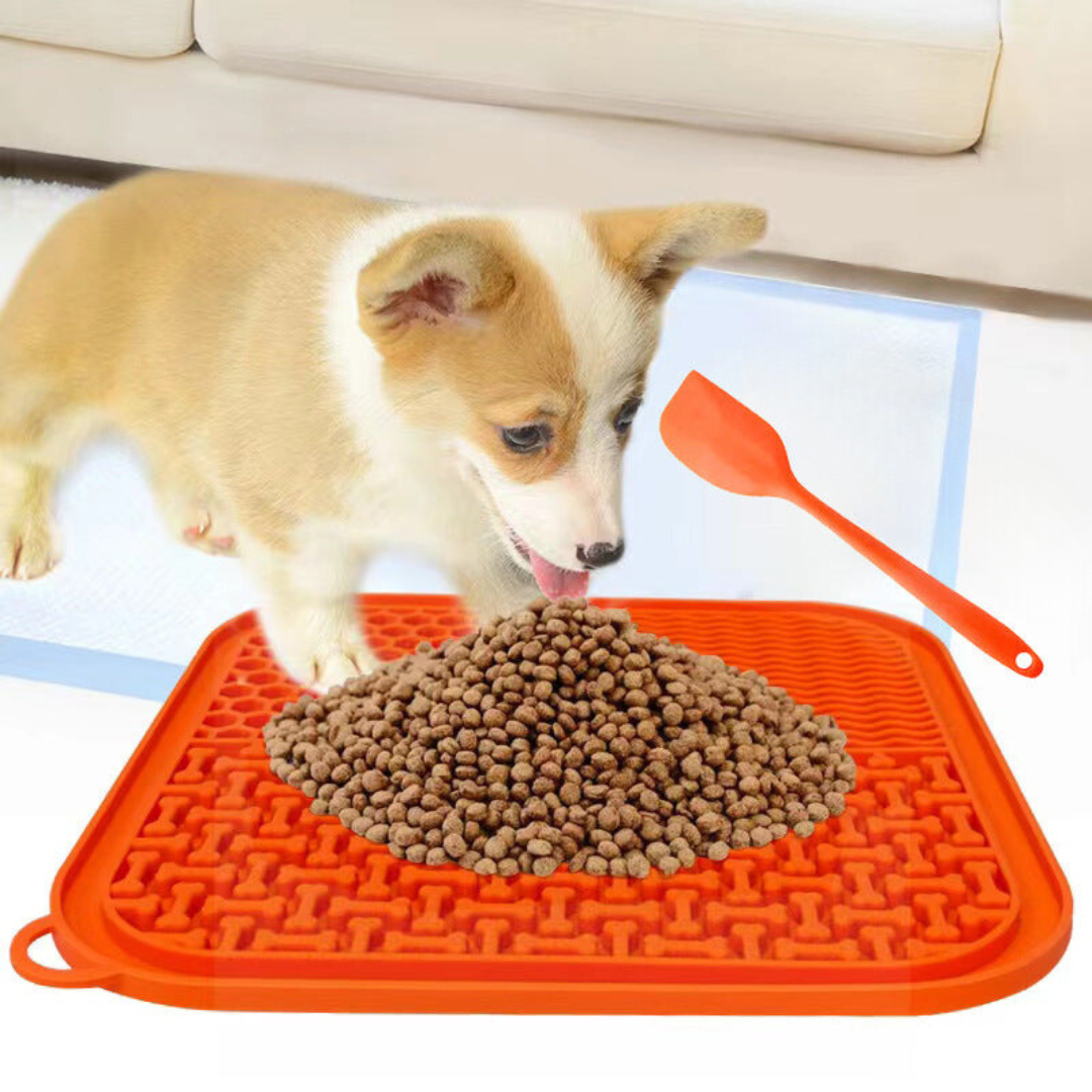 Tapis D'éveil Pour Chiens