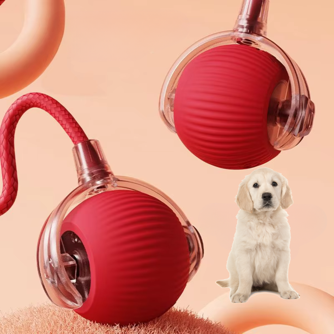 Balle De Jeu Interactive Avec Queue Pour Chiens