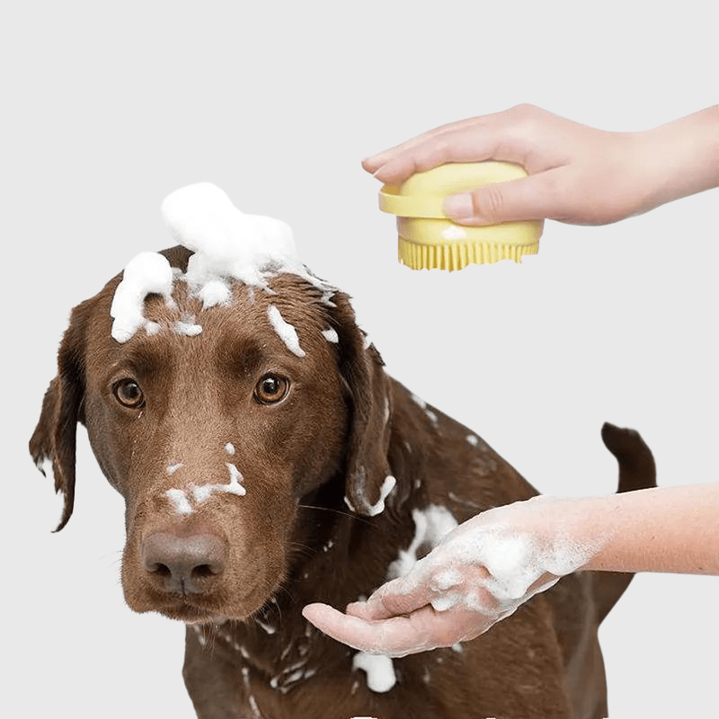 Brosse de bain pour chien en forme de coeur