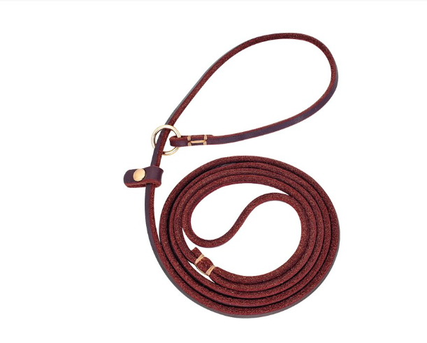 Laisse en cuir pour chien