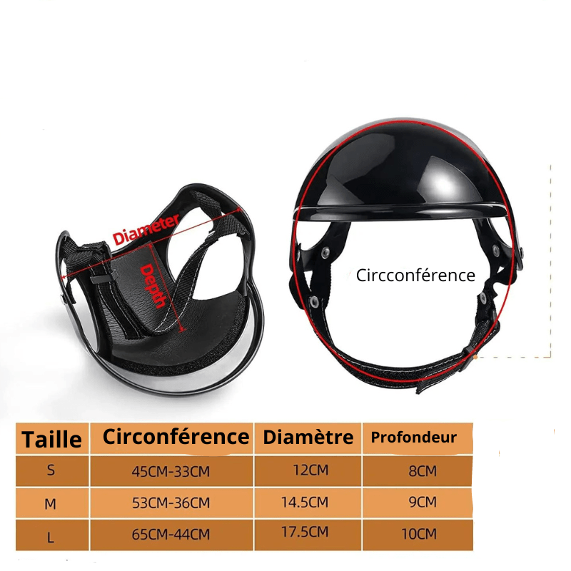 Casque de moto chien avec des lunettes Colorés Boutique Chien | Paradis Chien