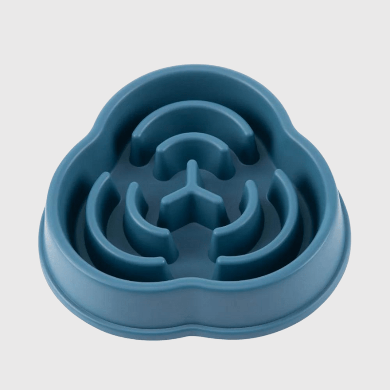 Gamelle anti glouton pour gros chien