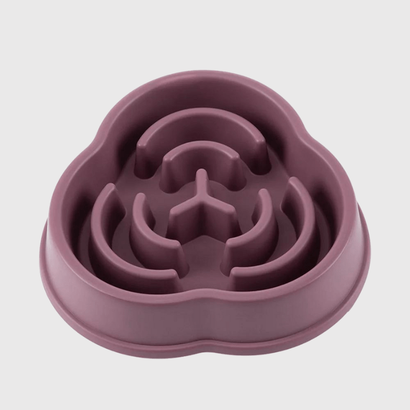 Gamelle anti glouton pour gros chien