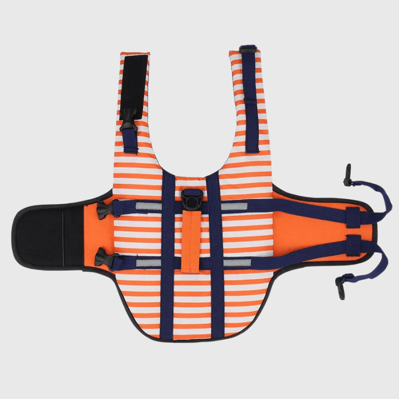 Gilet de sauvetage chien rayé Orange