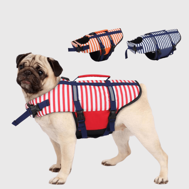 Gilet de sauvetage chien rayé Orange