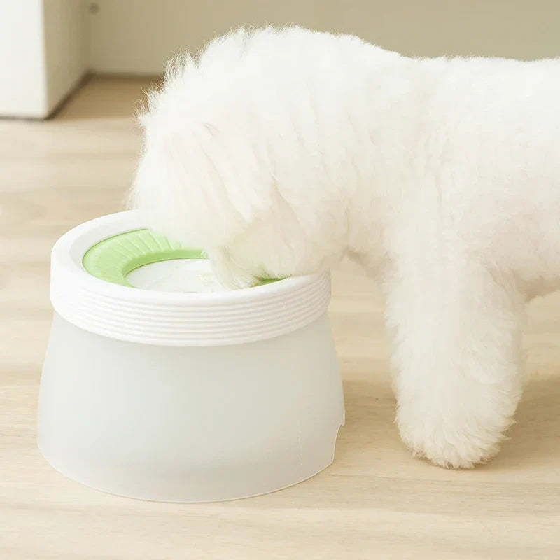 Abreuvoir Pour Chien Étanche