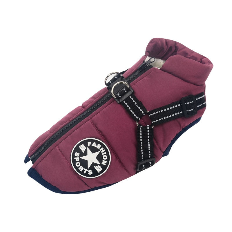 Manteau pour chien - Animal Lovers
