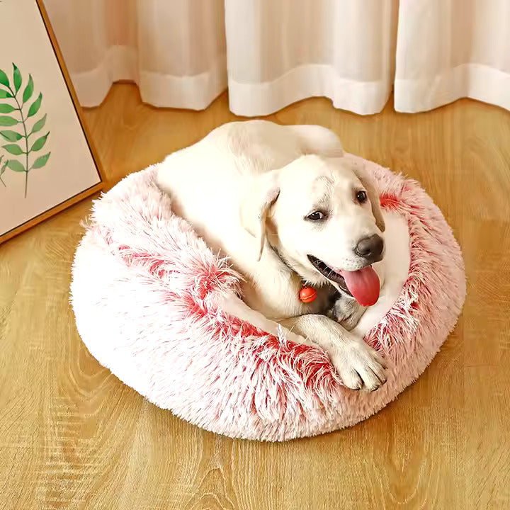 2in1 Grotte De Câlins Pour Chiens