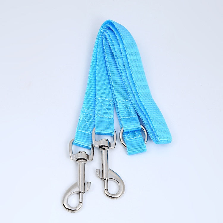 Laisse double pour chien