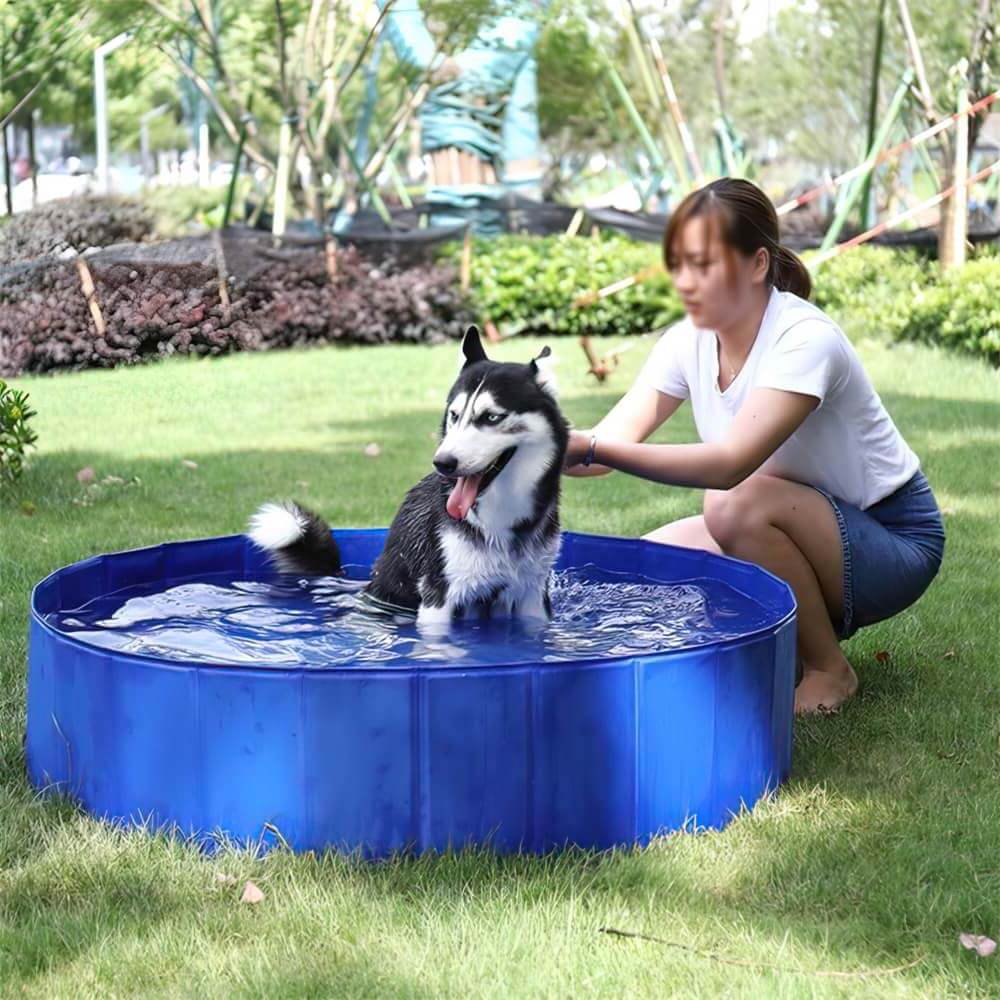 Piscine pour chien ultra solide et résistante