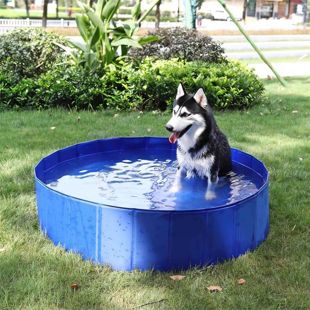 Piscine pour chien ultra solide et résistante