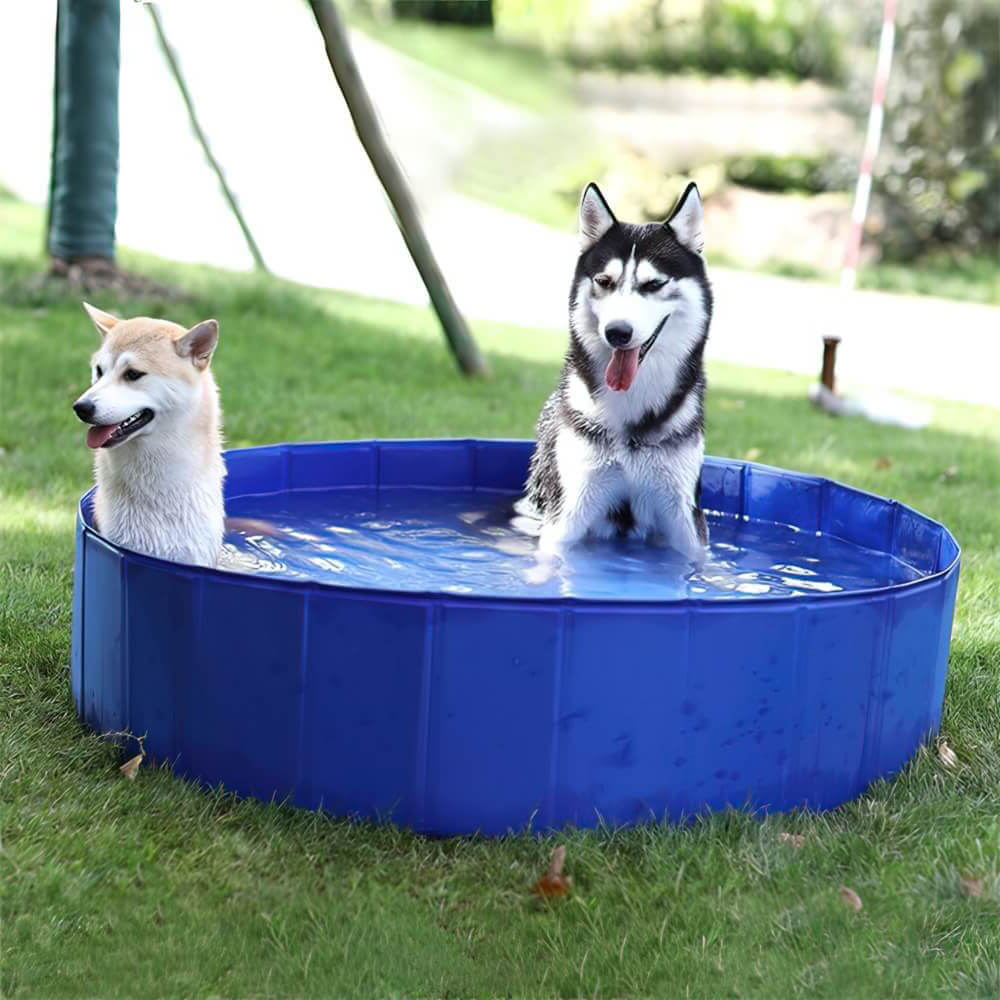 Piscine pour chien ultra solide et résistante