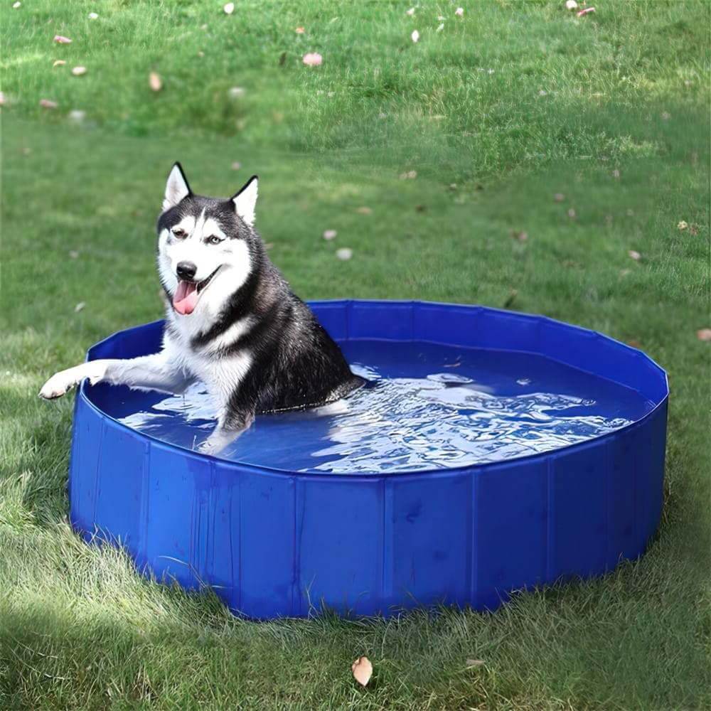 Piscine pour chien ultra solide et résistante