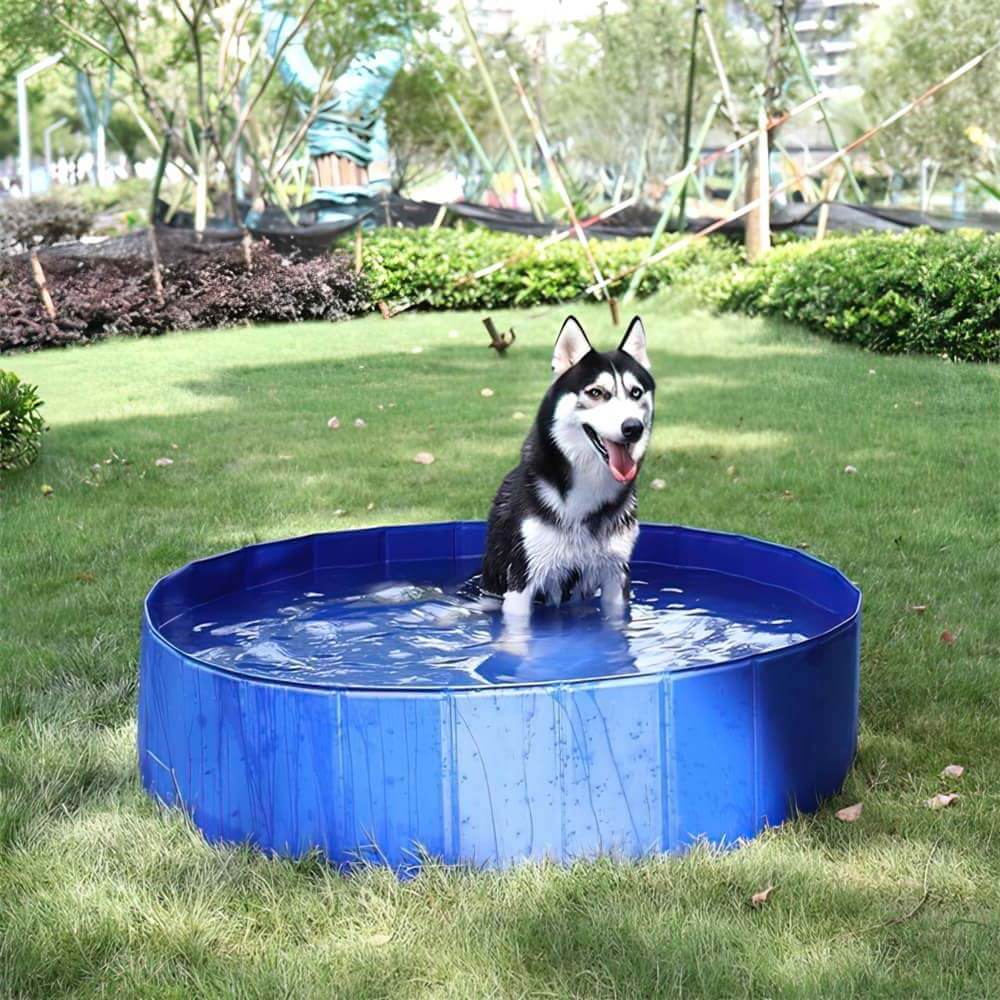 Piscine pour chien ultra solide et résistante