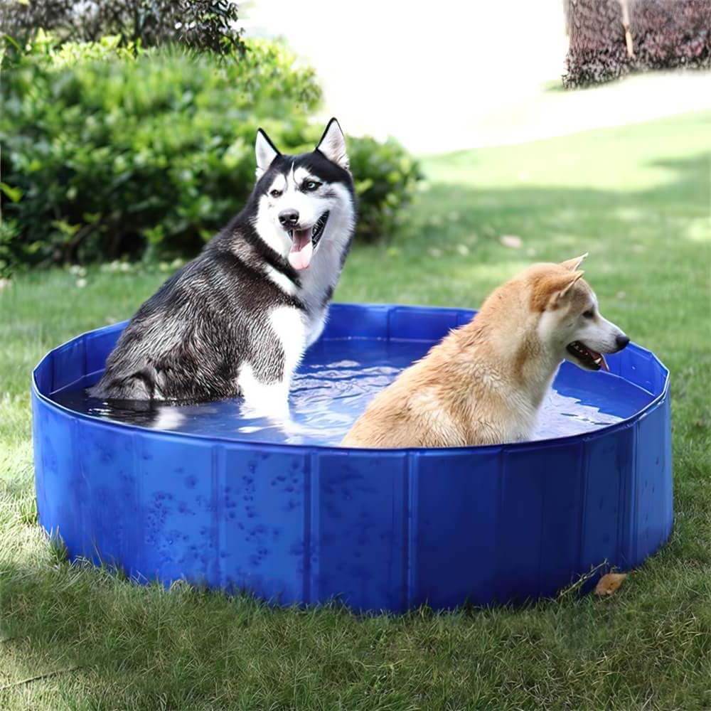 Piscine pour chien ultra solide et résistante