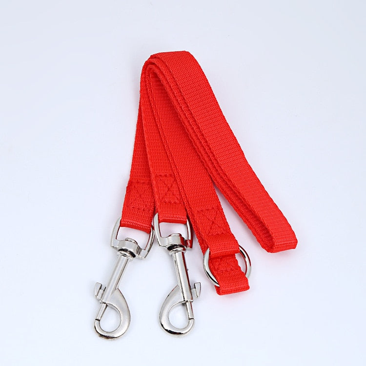 Laisse double pour chien