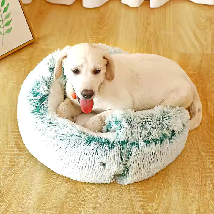 2in1 Grotte De Câlins Pour Chiens